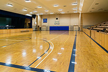 View of the finished auditorium February, 2019 (photo courtesy of Tom Parish).